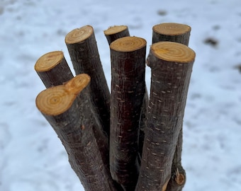 7 DIY Wands 12 inch Natural Alder Branches, Organic Alder Wood