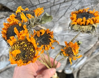 Small Dried Sunflower Bunch Yellow Focal Flowers for Country Dry Flower Bouquets