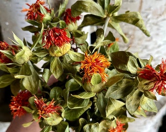 Dried Orange Safflower Bunch with Short Stems, Natural Dry Flowers