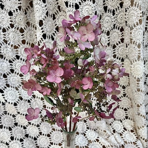 Dried Pinky Winky Hydrangeas Rose in Color Open Petal Look, Natural Hydrangeas