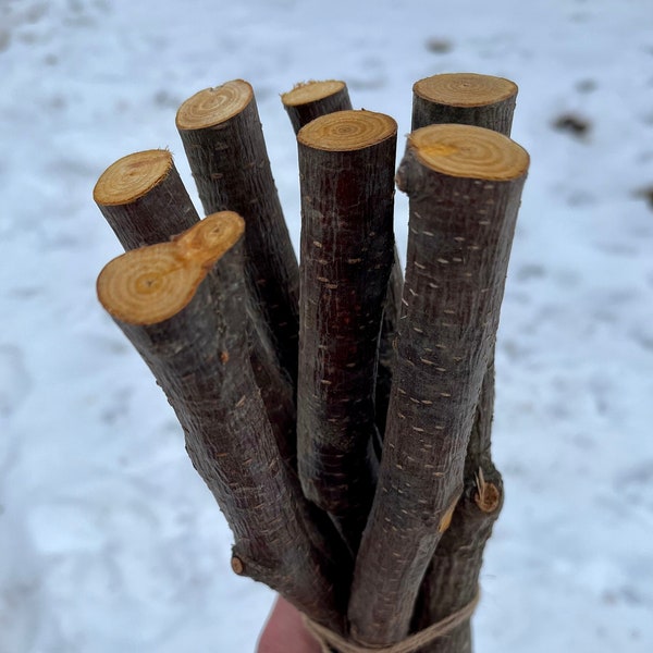 7 DIY Wands 12 inch Natural Alder Branches, Organic Alder Wood