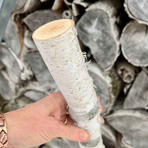 White Birch Log Branch 12 inch Natural Birch Wood, DIY Table Decor Centerpiece