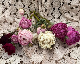 Dried Peony Flower Bunch: Natural Air-Dried Stems, Burgundy, Pink, Cream