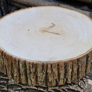 May include: A natural wood slice with a smooth, light brown surface and a rough, dark brown bark edge. The wood grain is visible on the surface.