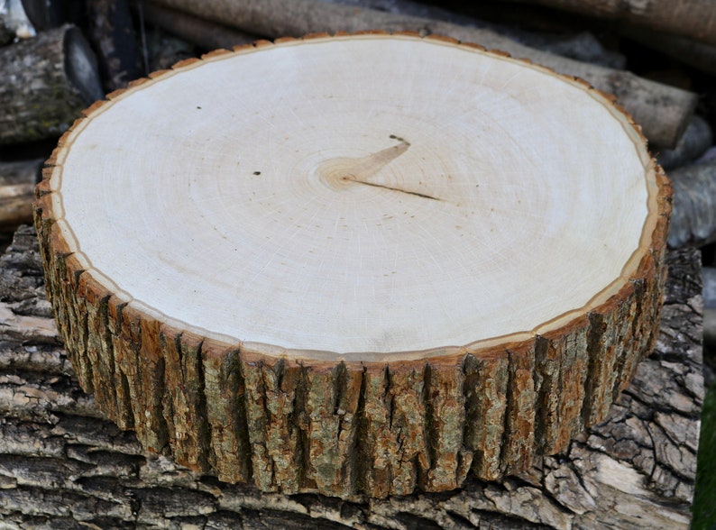 May include: A natural wood slice with a smooth, light brown surface and a rough, dark brown bark edge. The wood grain is visible on the surface.