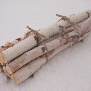 7 White Birch Logs Rustic Christmas Decor, Birch Branches, Yule Log image 1