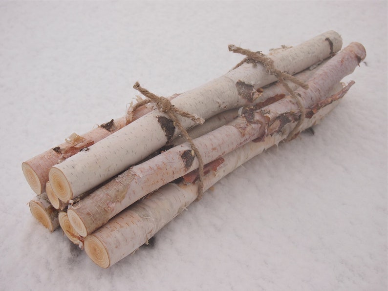 7 White Birch Logs Rustic Christmas Decor, Birch Branches, Yule Log image 1