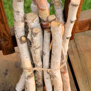 Birch Log Bundle, 11 White Birch Branches, Birch Wood Sticks, DIY Natural Centerpiece image 2