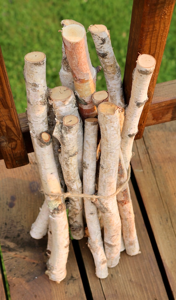 Birch Log Bundle, 11 White Birch Branches, Birch Wood Sticks, DIY Natural  Centerpiece 