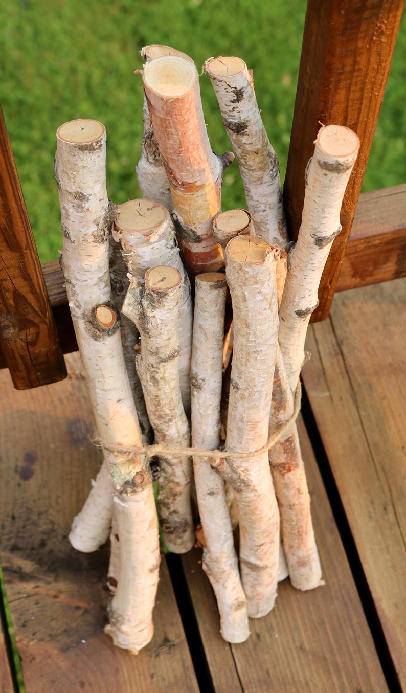 Birch Log Bundle, 11 White Birch Branches, Birch Wood Sticks, DIY Natural Centerpiece image 2