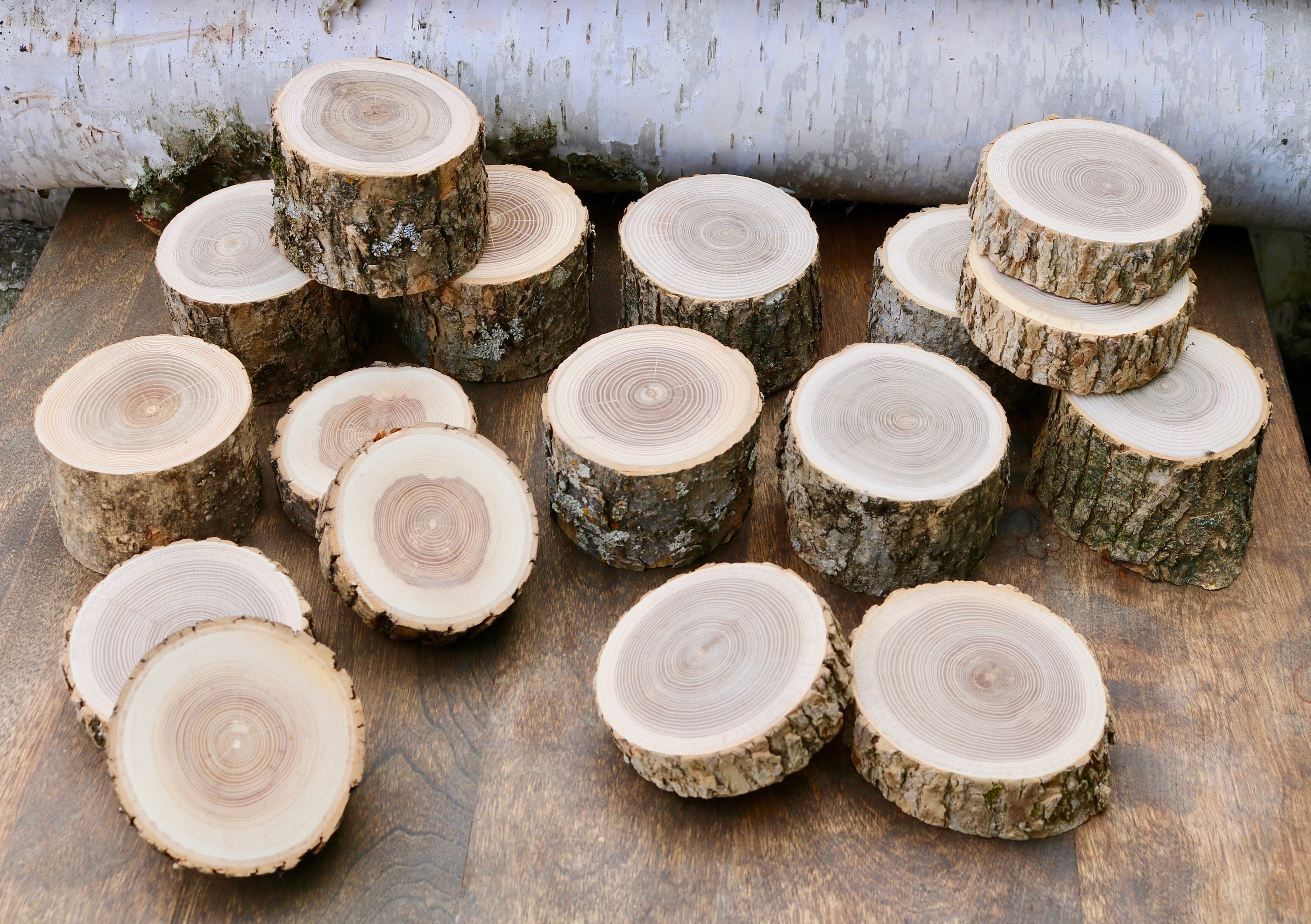 2 Natural Log Slice Birch Tree Bark Wedding Table Decoration approx 15cm 