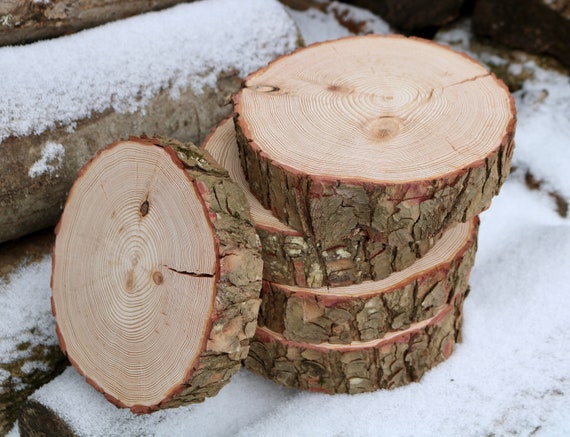 Cracked Natural Wood Slice Rustic Cake Stand, Thick Centerpieces