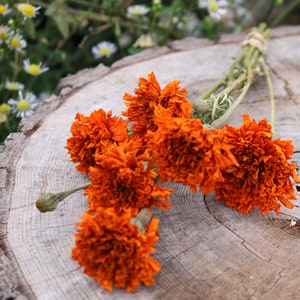 Peut inclure: Un bouquet de fleurs de souci s&eacute;ch&eacute;es orange sur une surface en bois.