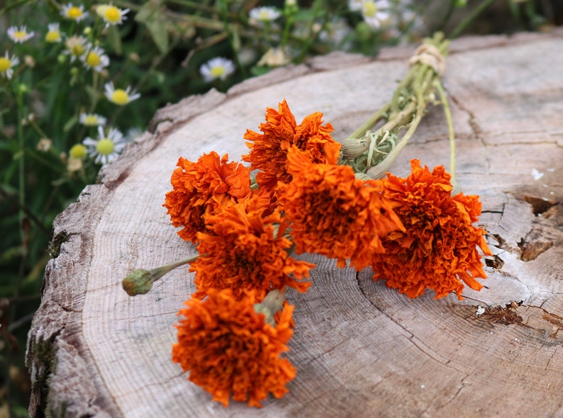 Peut inclure: Un bouquet de fleurs de souci s&eacute;ch&eacute;es orange sur une surface en bois.