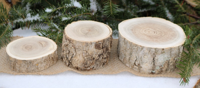 Table Scape Decor, 3 Pillar Candle Holders, Log Candle Holders, Wood Slices for Centerpiece, Bulk Wood Slice, Rustic Wedding image 5