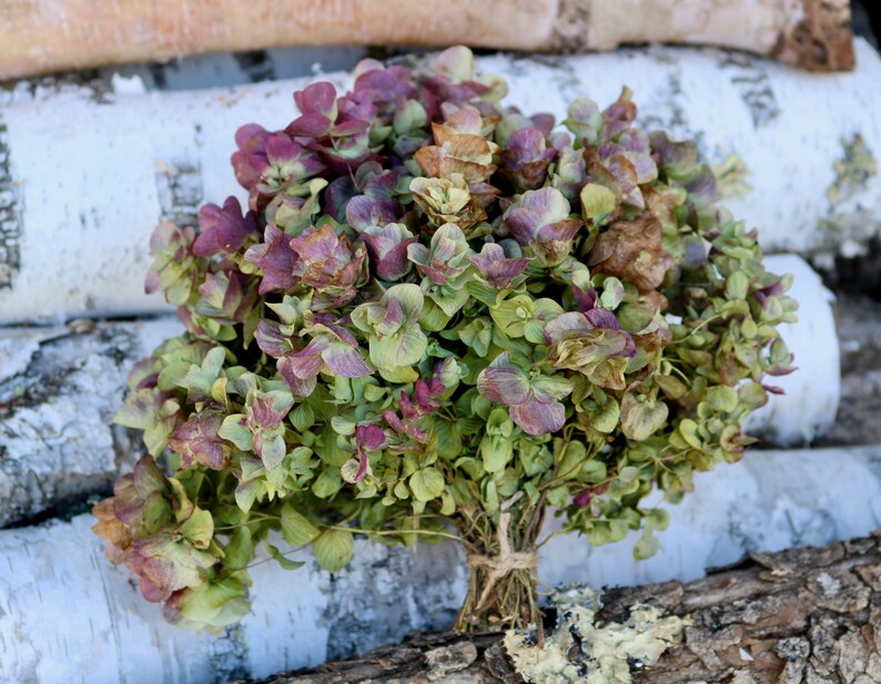 Dried Oregano Flower Bunch Dried Flowers Rustic Flower Etsy