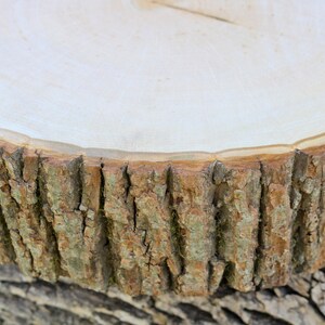 May include: A close-up of a wooden slice with the bark still attached. The wood is light brown and the bark is a darker brown. The slice is smooth and polished.