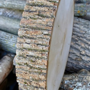 May include: A large, round wooden slice with a natural bark edge. The wood is light brown and has a smooth, polished surface. The bark is a darker brown and has a rough texture.