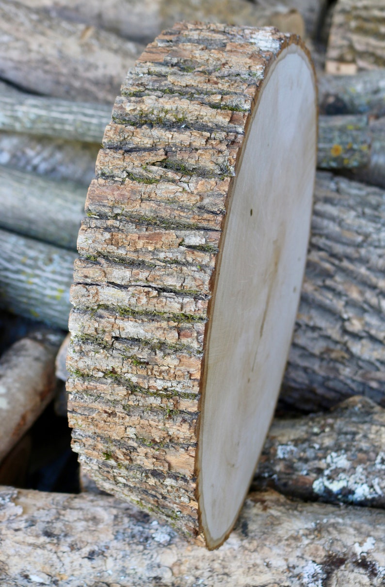May include: A large, round wooden slice with a natural bark edge. The wood is light brown and has a smooth, polished surface. The bark is a darker brown and has a rough texture.