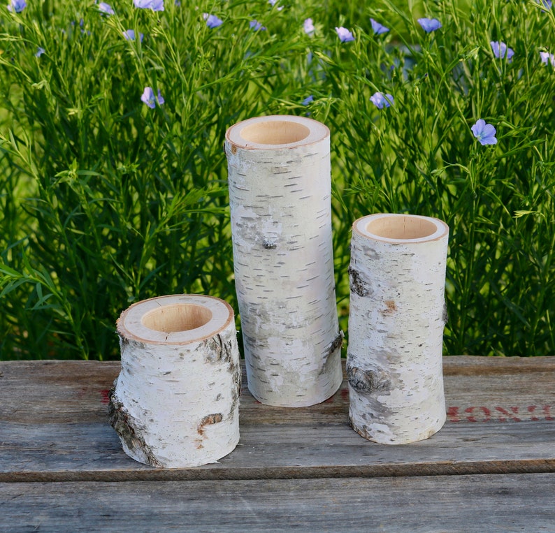 May include: Three white birch bark cylinders with a hollow center. The cylinders are arranged in a row on a wooden surface.