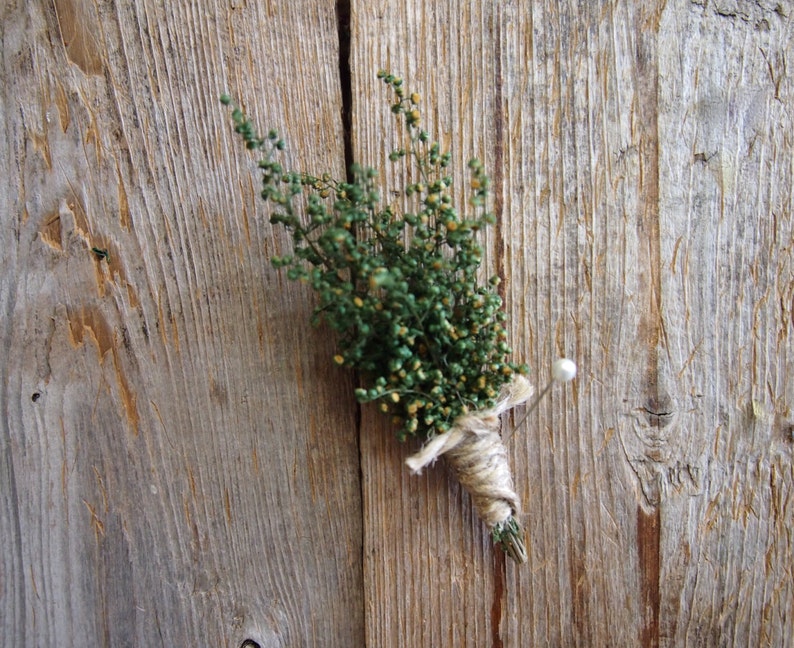 Small Green Herbal Boutonniere, Groom Dried Flower Boutonniere, Mans Boutonniere, Small Boutonniere 