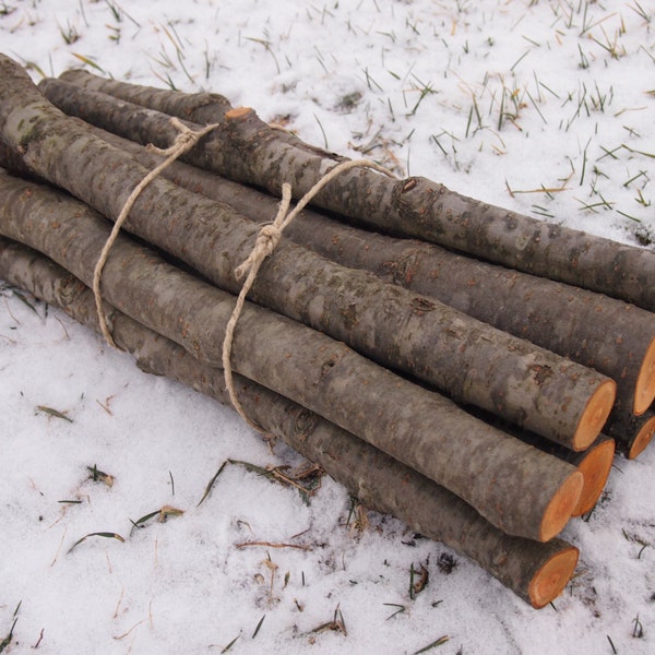 9 Natural Alder Branches, Alder Wood, Wedding Wood, DIY Wands