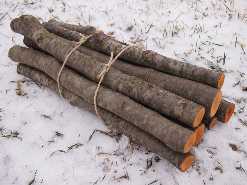 9 Natural Alder Branches Alder Wood Wedding Wood DIY Wands Etsy