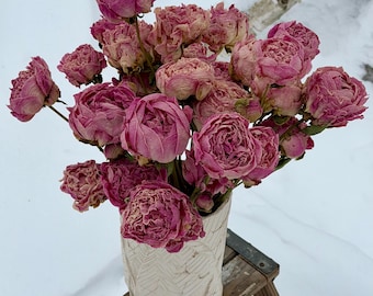 Bulk Peony Blooms 30 Stems Total, Dried Pink Flower Bunches, Dry Natural Peonies
