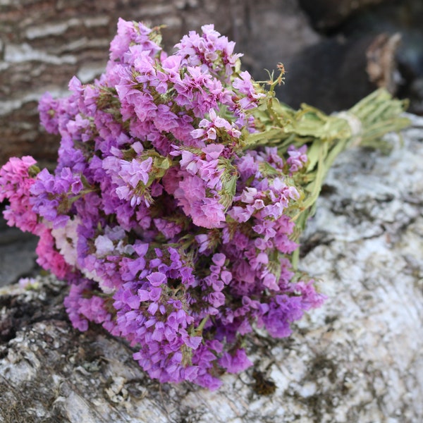 Dried Purple Pastel Mix Annual Statice Flower Bunch Limonium sinuatum Dried Filler Flowers