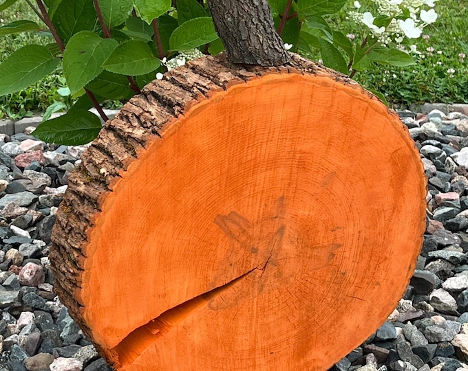 Featured listing image: Wood Slice Pumpkin Fall Decor Wood Pumpkin from a Tree Stump, Stumpkins, Fall Wooden Pumpkin Porch Decor, Primitive Halloween