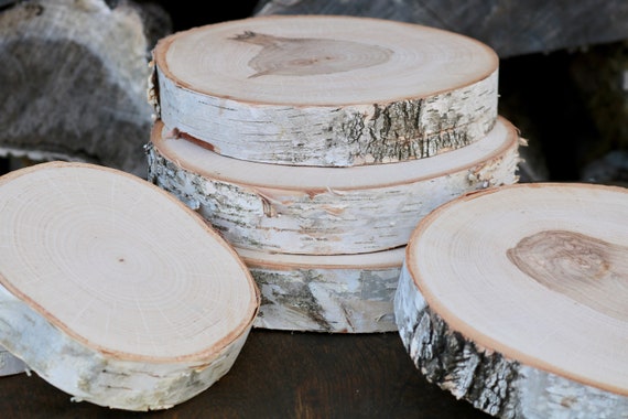 White Birch Logs for Summer Fireplace Basket Rustic Home Living Room Decor  Wood