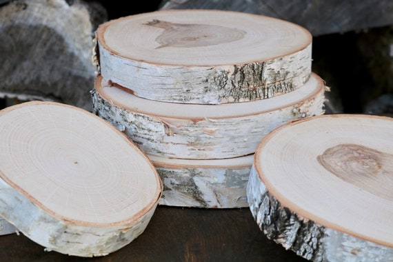 Set of 11-12 Inch Wood Slices for Rustic Wedding Centerpieces Natural Wood  Slices, Log Slices, Tree Slices, Wood Cuts, Wood Stump Slices 