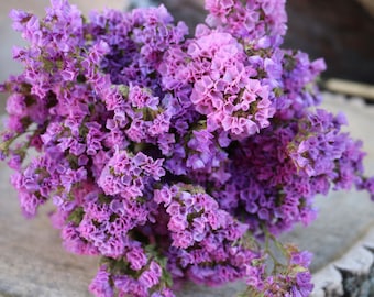 Dried Statice Flower Bunch - Annual Statice - Pastel Mix - Dried Filler Flowers - Dry Flowers - Sinuata