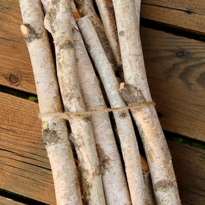 Birch Log Bundle, 11 White Birch Branches, Birch Wood Sticks, DIY Natural Centerpiece image 3