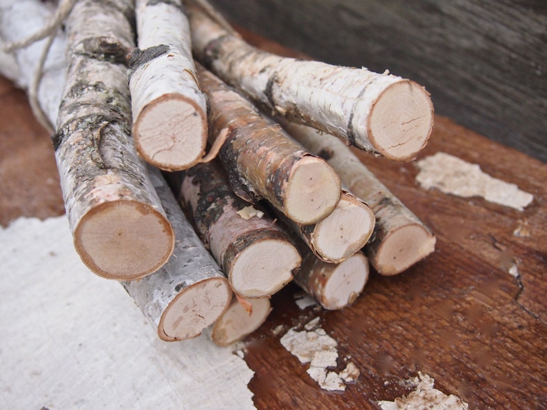 Birch Log Bundle 11 White Birch Branches Birch Wood Sticks Etsy