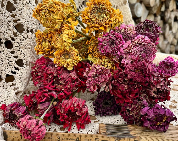 Featured listing image: Dried Zinnia Bouquet: Large Blooms, 10-Stem Bunch, DIY Centerpiece