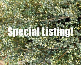 3rd Special Listing for Jay