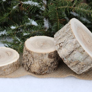 Table Scape Decor, 3 Pillar Candle Holders, Log Candle Holders, Wood Slices for Centerpiece, Bulk Wood Slice, Rustic Wedding image 4