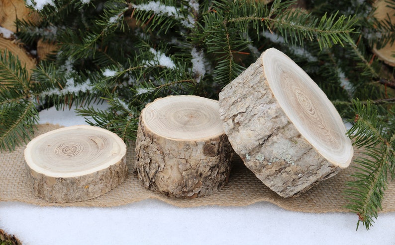 Table Scape Decor, 3 Pillar Candle Holders, Log Candle Holders, Wood Slices for Centerpiece, Bulk Wood Slice, Rustic Wedding image 4