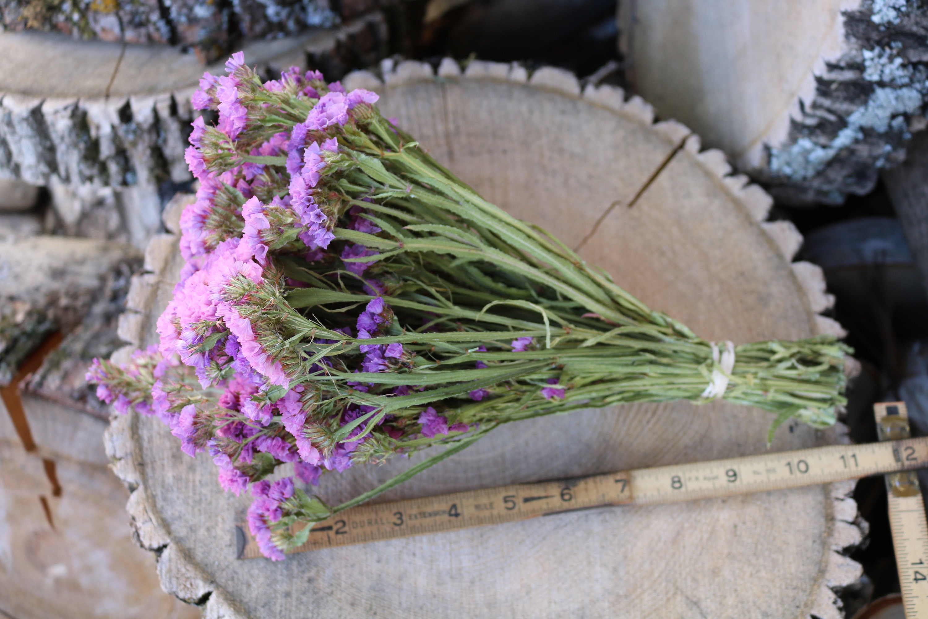 A Bunch Dried Statices Flowers with Limoniums, Dried Flowers, Floral –  Paintingforhome