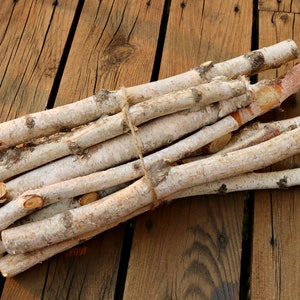 White Birch Branch Bundle: Natural DIY Centerpiece Supplies