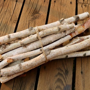 Birch Log Bundle, 11 White Birch Branches, Birch Wood Sticks, DIY Natural Centerpiece