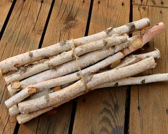 Birch Log Bundle, 11 White Birch Branches, Birch Wood Sticks, DIY Natural Centerpiece