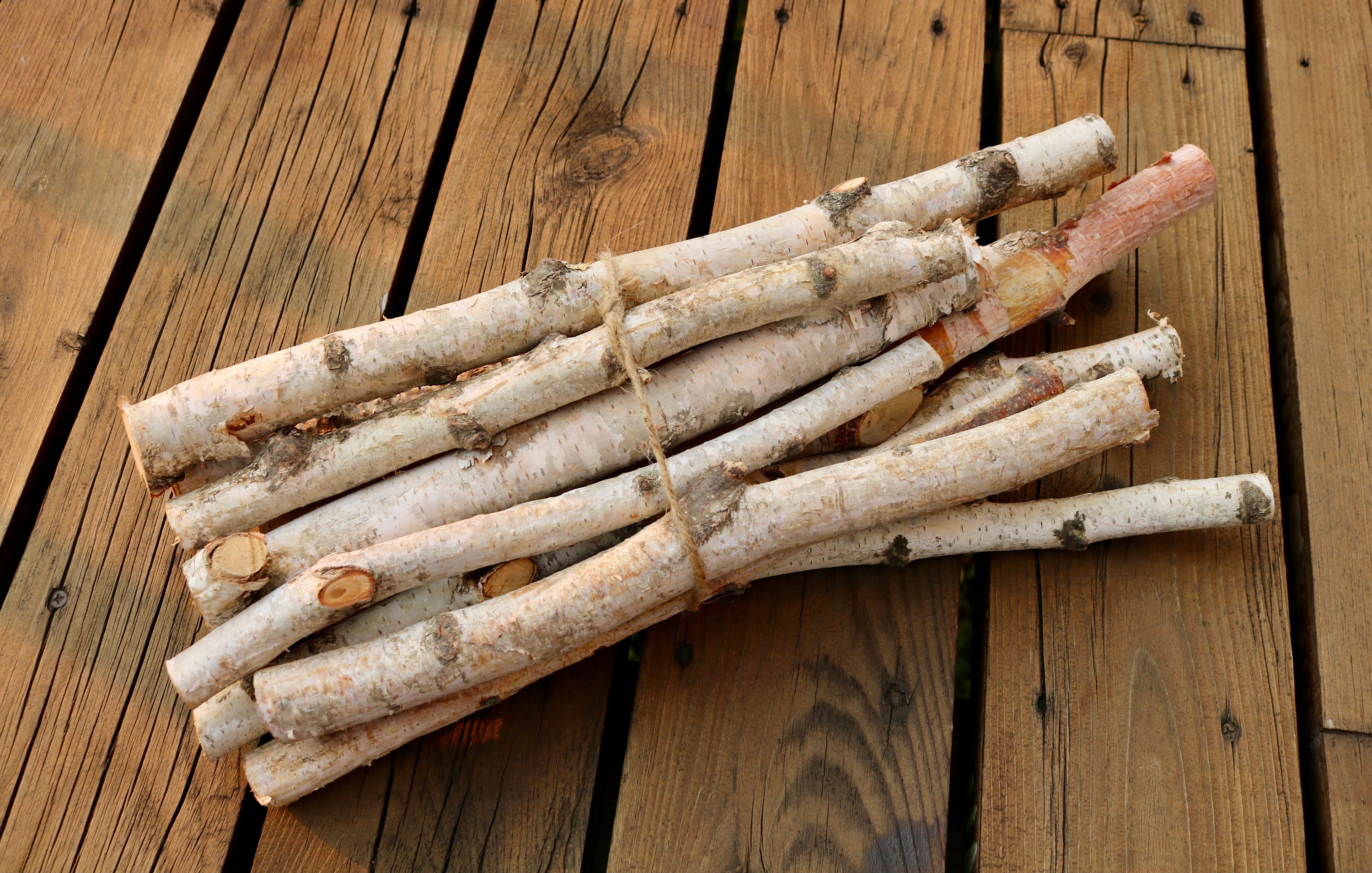 Amish-made Natural Split White Birch Logs 5-packs Great for Burning and  Beautiful Seasonal Decor Free Shipping 