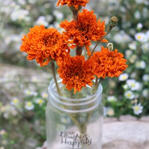 Peut inclure: Un bouquet de marigolds s&eacute;ch&eacute;es orange dans un bocal en verre transparent avec le texte "Daughter Happily" sur le devant.