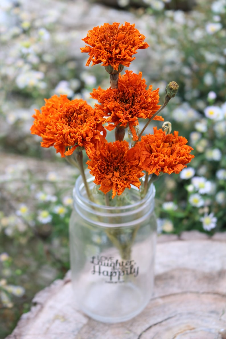 Peut inclure: Un bouquet de marigolds s&eacute;ch&eacute;es orange dans un bocal en verre transparent avec le texte "Daughter Happily" sur le devant.
