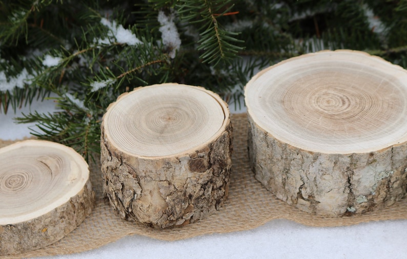 Table Scape Decor, 3 Pillar Candle Holders, Log Candle Holders, Wood Slices for Centerpiece, Bulk Wood Slice, Rustic Wedding image 2