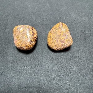 Calligraphy/Elephant Skin/Miriam Jasper Set of 2 Tumbled Stones