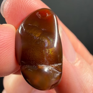 May include: A polished, translucent fire agate gemstone with a deep reddish-brown base color. The stone features a smooth, rounded surface with internal iridescent flashes of gold, green, and purple light visible within the structure.