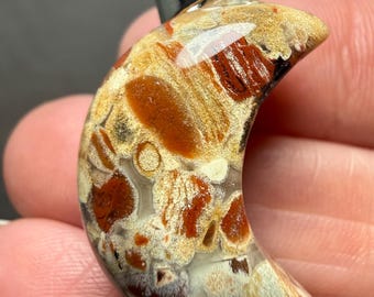 Brecciated Jasper Silver Moon Pendant #2